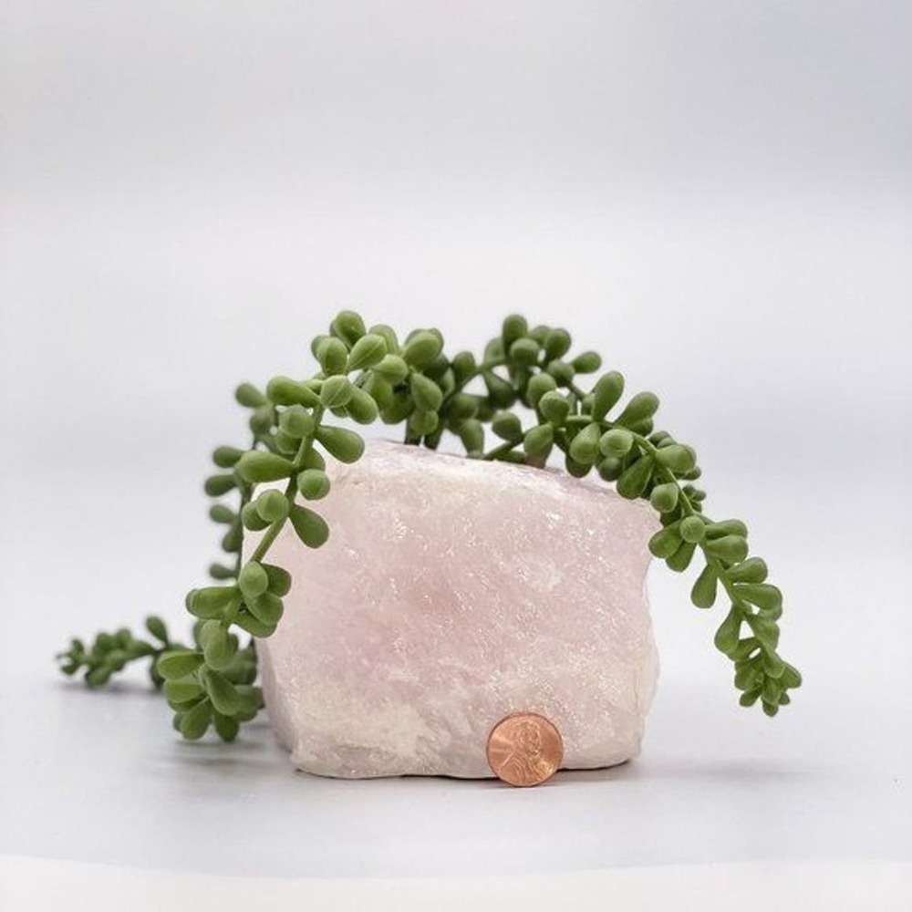 Crystal Candle Holder, Raw Rose Quartz, Stone Succulent Holder, Air-Plant Holder - Picture 8 of 8